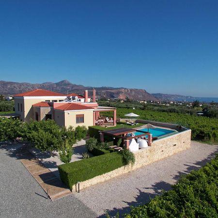 Cretan Vineyard Hill Villa Kato Kalesia Ngoại thất bức ảnh