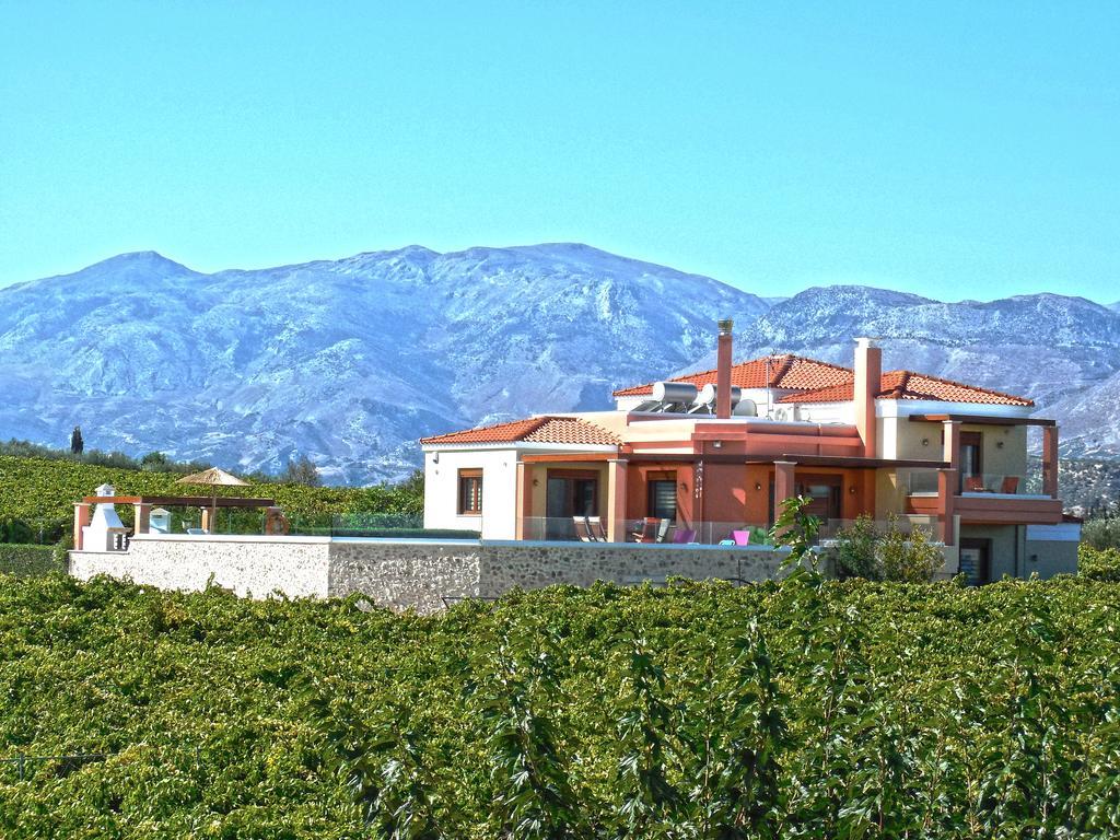 Cretan Vineyard Hill Villa Kato Kalesia Ngoại thất bức ảnh