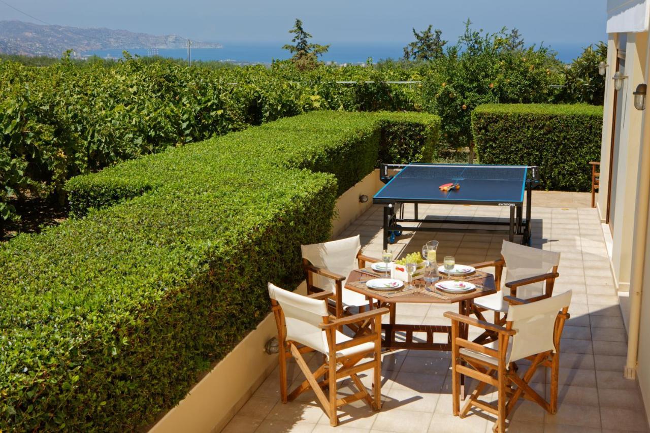 Cretan Vineyard Hill Villa Kato Kalesia Ngoại thất bức ảnh
