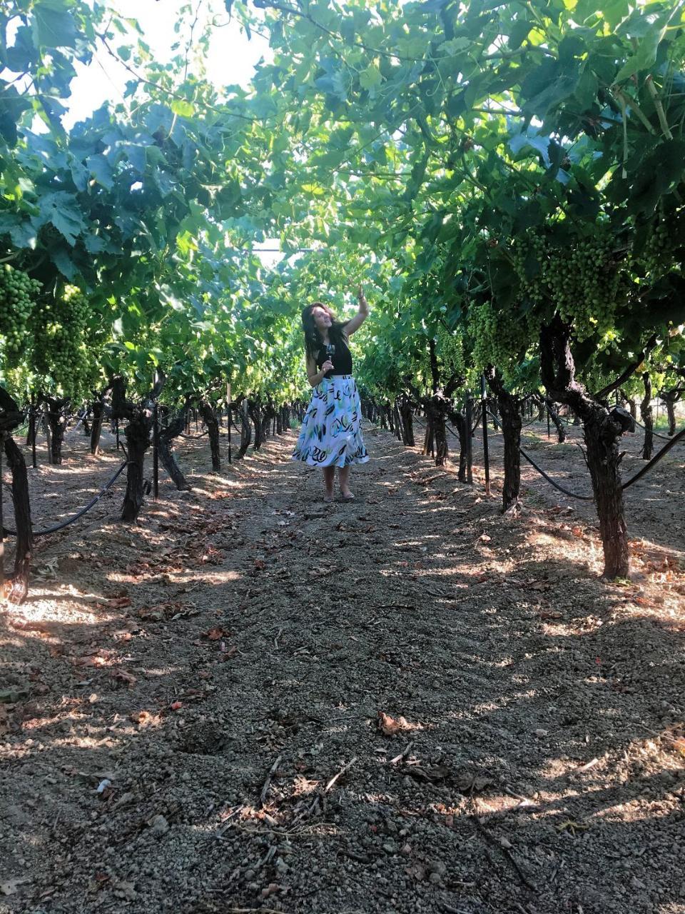 Cretan Vineyard Hill Villa Kato Kalesia Ngoại thất bức ảnh