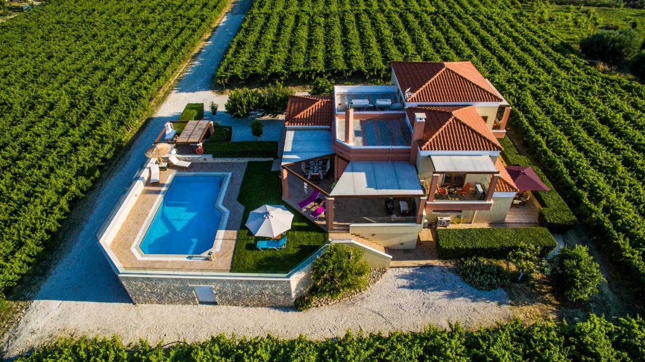 Cretan Vineyard Hill Villa Kato Kalesia Ngoại thất bức ảnh